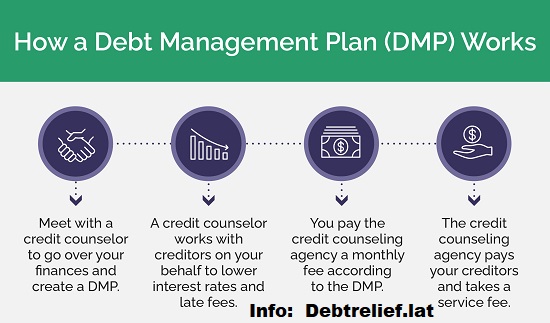 Debt management Plane Info